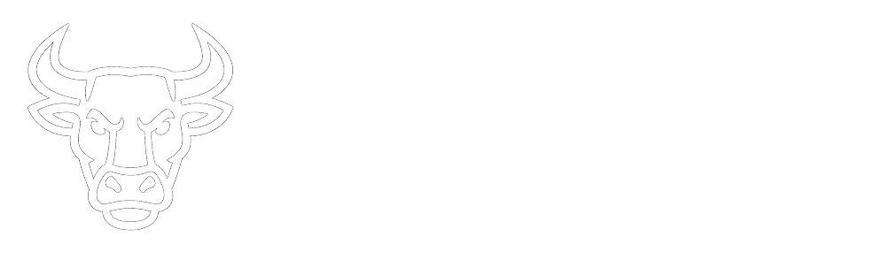 BigBulls